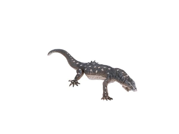 Mojo Perentie-ödla