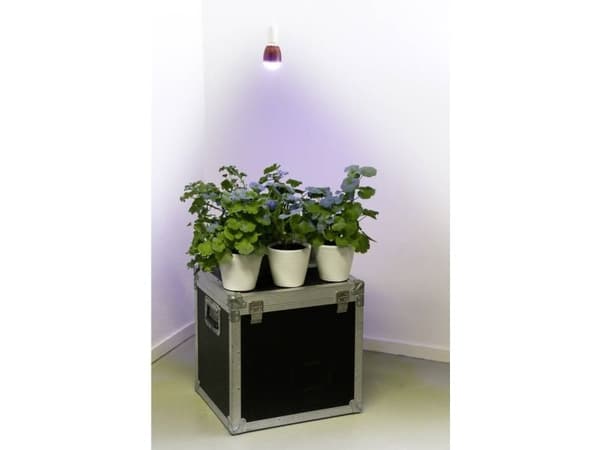 Venso EcoSolutions Winter, 7 W, E27, 30000 timer, Dagslys