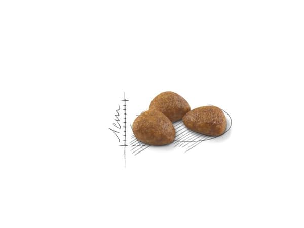 Royal Canin Outdoor 7+ Ageing tørfoder til kat - 4 kg