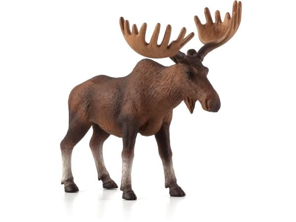 Mojo European Moose