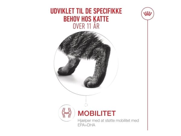 Royal Canin Ageing 11+ tørfoder til kat - 400 g