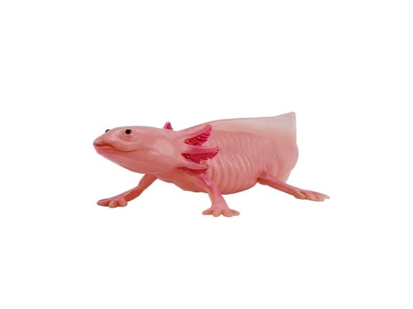 Axolotl