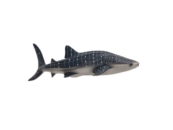 Mojo Whale Shark
