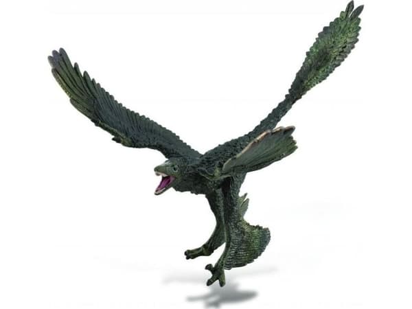 Collecta figur Dinosaur Microraptor