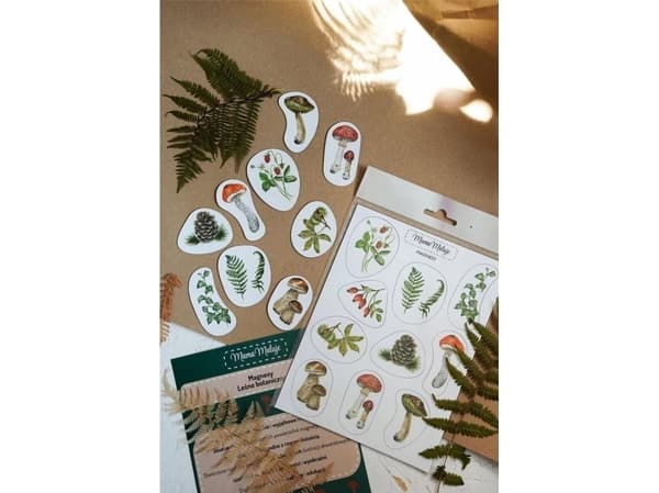 Botaniske skogmagneter