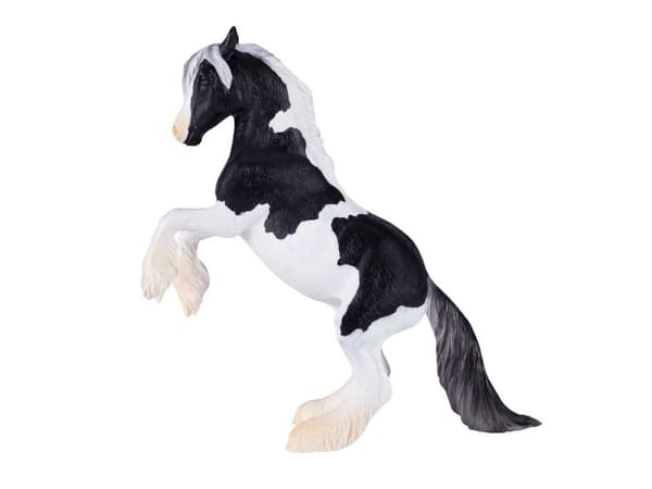 Mojo Gypsy Vanner hingst