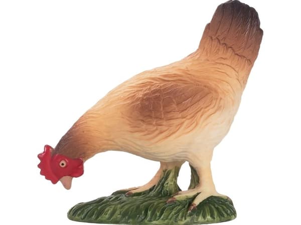 Mojo Hen syömässä