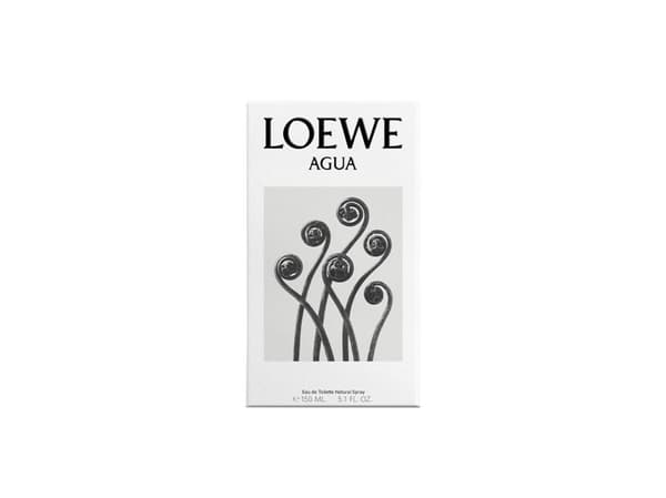 Loewe Agua de Loewe EDT 50 ml