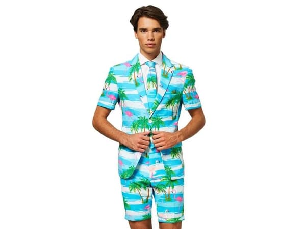 Sommer OppoSuit Flaminguy