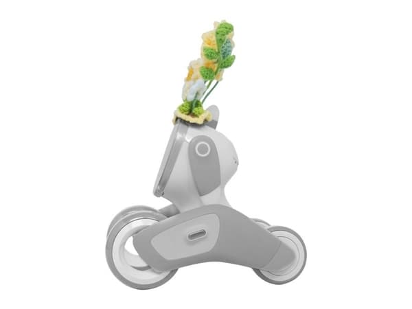 Stickat set för Loona Premium Sunflower