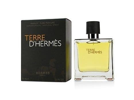 Hermès Terre D'Hermes PAR M 75 ml