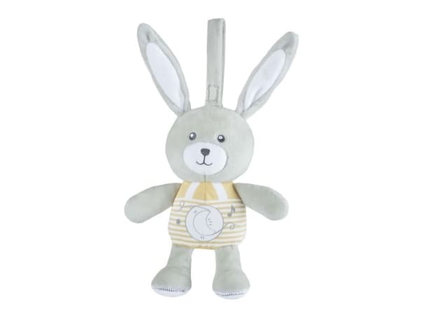 Chicco First Dreams 00011129000000, Kanin, Interaktiv, Låter, AAA
