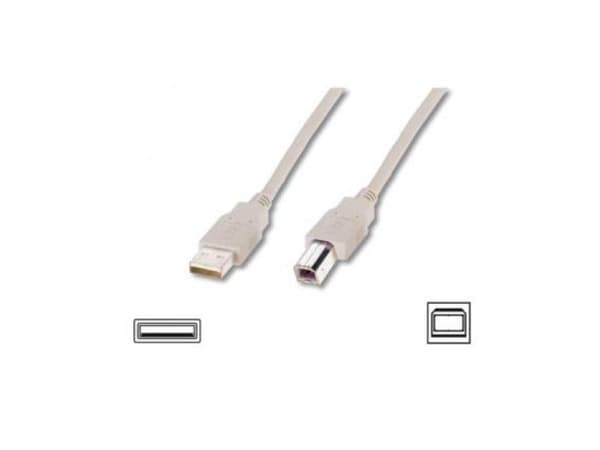 ASSMANN - USB-kabel - USB (hane) till USB typ B (hane) - USB 2.0 - 1.8 m - formpressad - beige