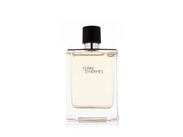 Hermes Terre D'Hermes Edt Spray - Man - 100 ml