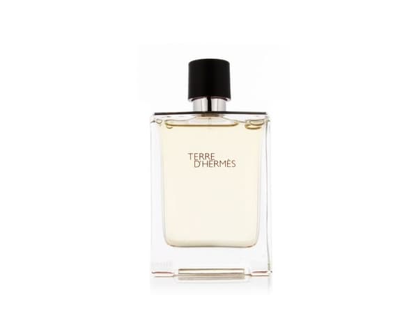 Hermes Terre D'Hermes Edt Spray - Mies - 100 ml