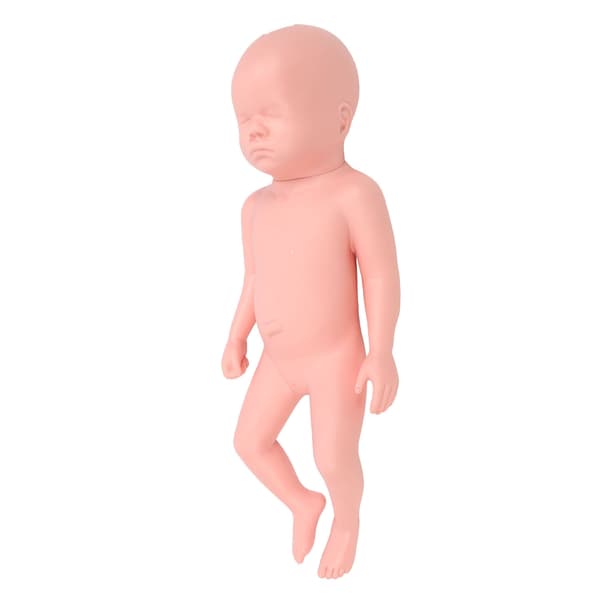 Nyfødt Model Plast Pædagogisk Høj Simulation Fuld Term Baby Simulator Model Til Undervisning