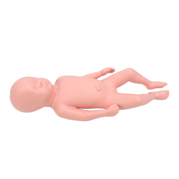 Nyfødt Model Plast Pædagogisk Høj Simulation Fuld Term Baby Simulator Model Til Undervisning