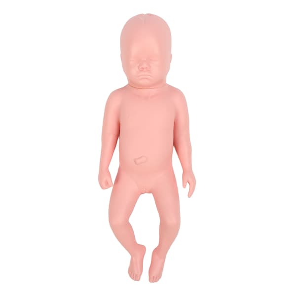 Nyfødt Model Plast Pædagogisk Høj Simulation Fuld Term Baby Simulator Model Til Undervisning