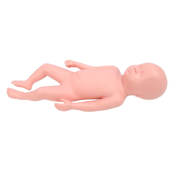 Nyfødt Model Plast Pædagogisk Høj Simulation Fuld Term Baby Simulator Model Til Undervisning