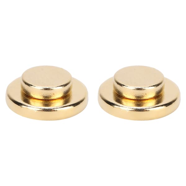 Viktminskning Magnetisk Terapi Örhänge Magnet Bantning Akupunkter Stimulerande Öronstift Guld Utan Hål