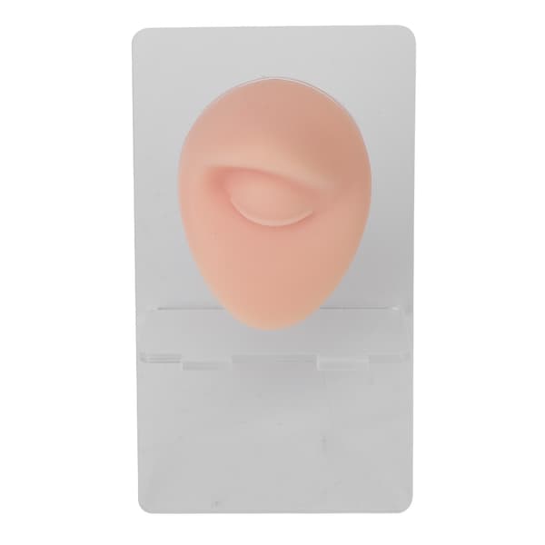 Silikone øjenbryn model 3D simuleret piercing øjenmodel med stativ til smykkedisplay, lys hudfarve