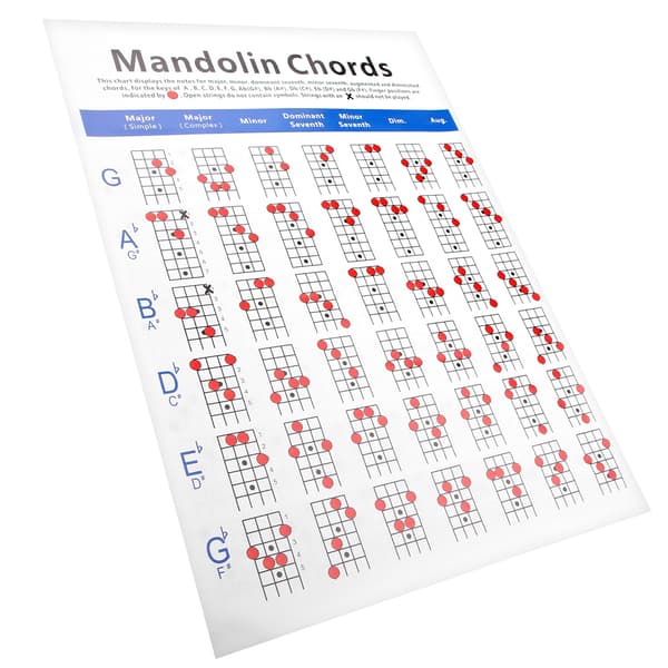 Fickmandolin ackordtabell greppbräda noter bestruket papper nybörjare vuxna barn