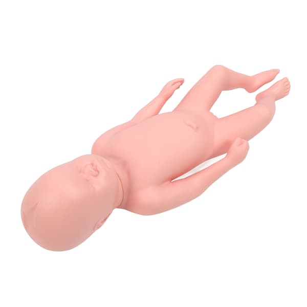 Nyfødt Model Plast Pædagogisk Høj Simulation Fuld Term Baby Simulator Model Til Undervisning