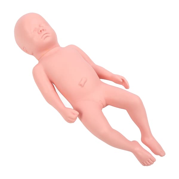 Nyfødt Model Plast Pædagogisk Høj Simulation Fuld Term Baby Simulator Model Til Undervisning