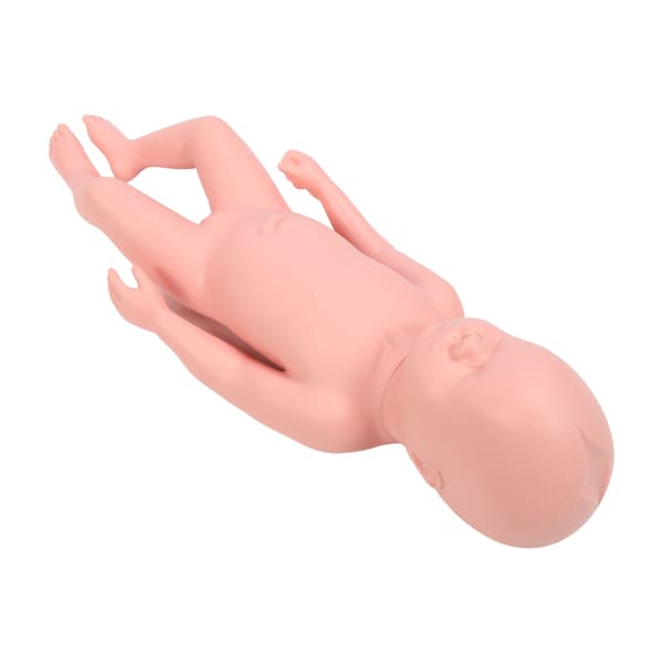 Nyfødt Model Plast Pædagogisk Høj Simulation Fuld Term Baby Simulator Model Til Undervisning