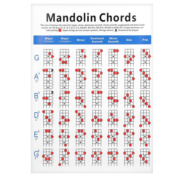 Fickmandolin ackordtabell greppbräda noter bestruket papper nybörjare vuxna barn