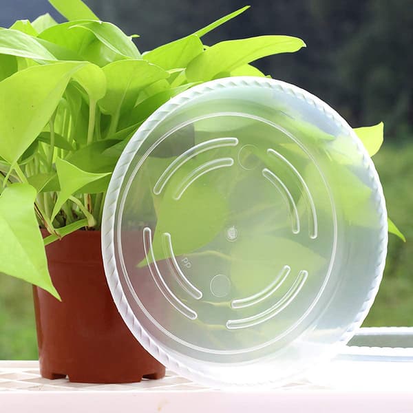 10 klare plastunderskåle til indendørs og udendørs urtepotter