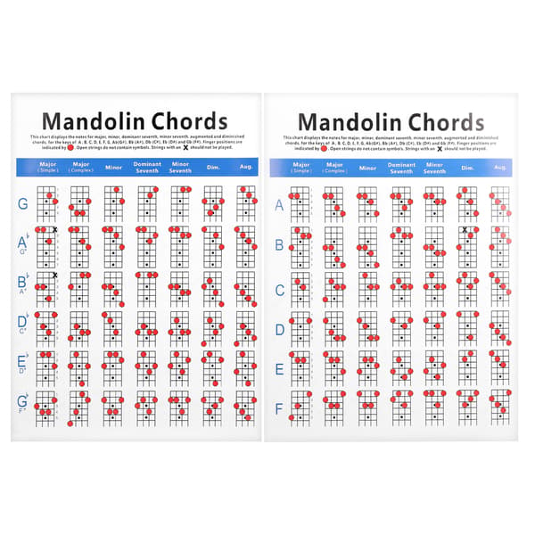 Fickmandolin ackordtabell greppbräda noter bestruket papper nybörjare vuxna barn