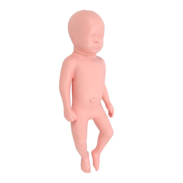 Nyfødt Model Plast Pædagogisk Høj Simulation Fuld Term Baby Simulator Model Til Undervisning