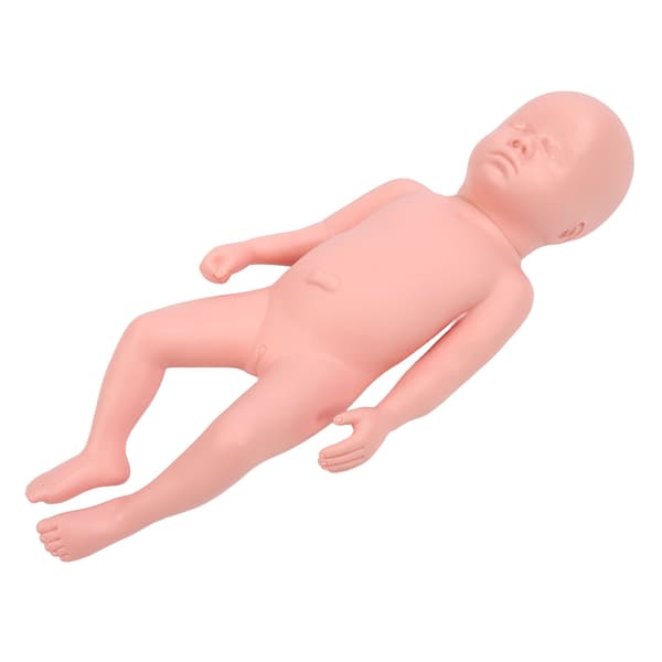 Nyfødt Model Plast Pædagogisk Høj Simulation Fuld Term Baby Simulator Model Til Undervisning