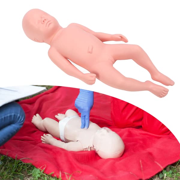 Nyfødt Model Plast Pædagogisk Høj Simulation Fuld Term Baby Simulator Model Til Undervisning