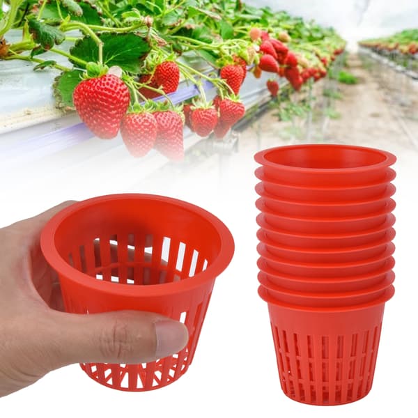 10 stk. hydroponiske netpotter, plastik plantekurv til haven
