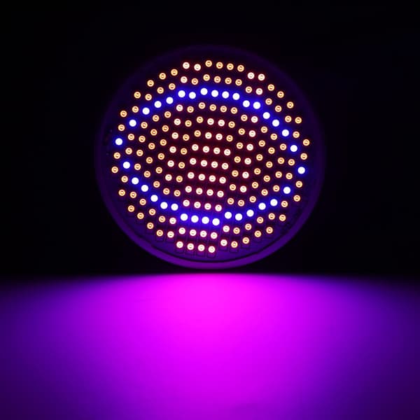 24W 200-LED E27 Grolys Pære til Hydroponiske Blomster Grøntsager Plantelampe 85-265V