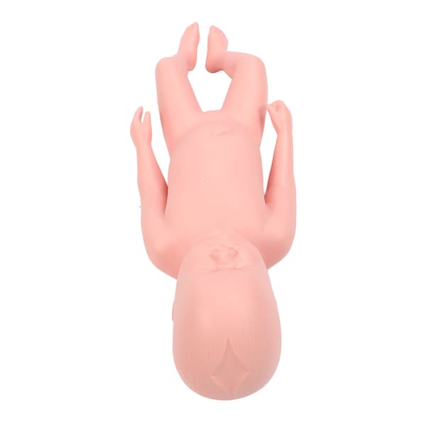 Nyfødt Model Plast Pædagogisk Høj Simulation Fuld Term Baby Simulator Model Til Undervisning