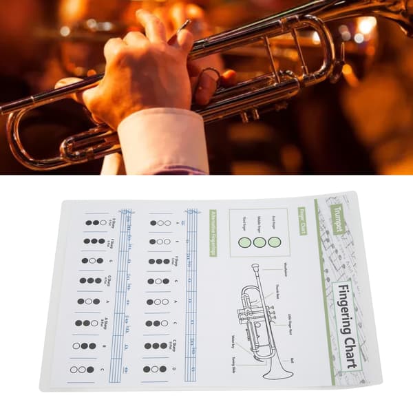Trompet Akkordtabel Gribebræt Noder Musikinstrument Referencekort til Hjemmestudie