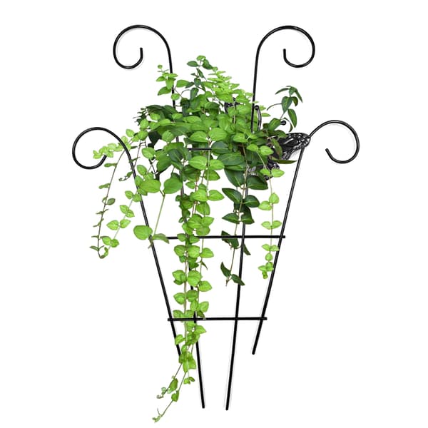 Espalier i rustfrit stål til klatreplanter, vinstøtte, druebue