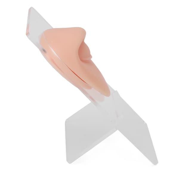 Silikone øjenbryn model 3D simuleret piercing øjenmodel med stativ til smykkedisplay, lys hudfarve