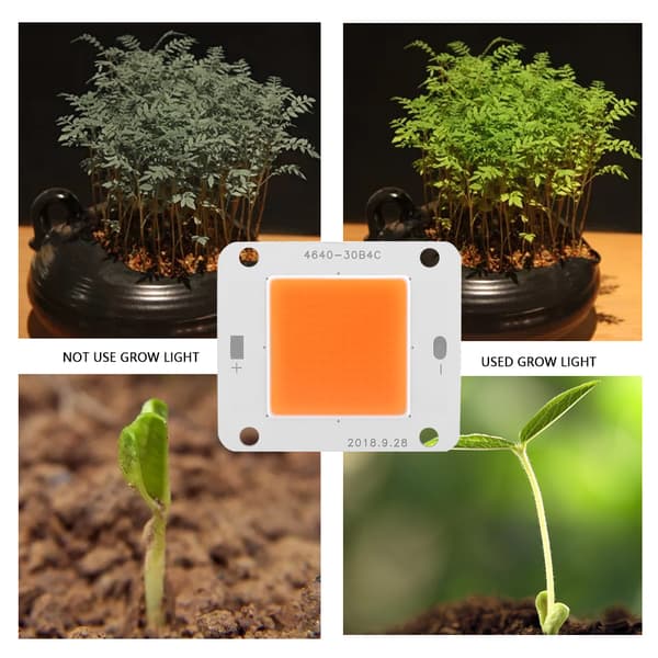 DC12V 50W täyden spektrin COB LED-kasvivalopolttimo