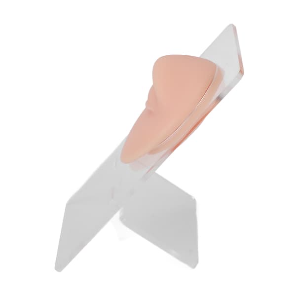 Silikone øjenbryn model 3D simuleret piercing øjenmodel med stativ til smykkedisplay, lys hudfarve