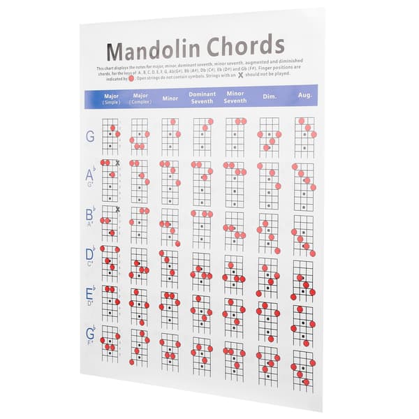 Fickmandolin ackordtabell greppbräda noter bestruket papper nybörjare vuxna barn