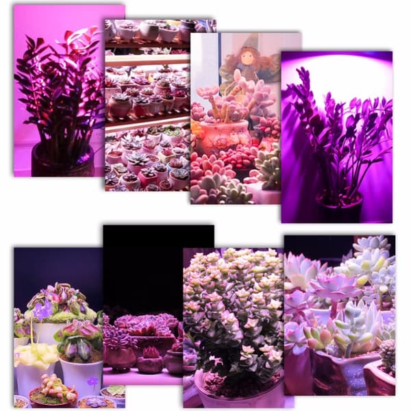 28W E27 LED vækstpære, fuldspektret plantelampe til indendørs drivhus hydroponics