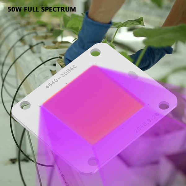 DC12V 50W Fullspektrum COB LED Växtlampa