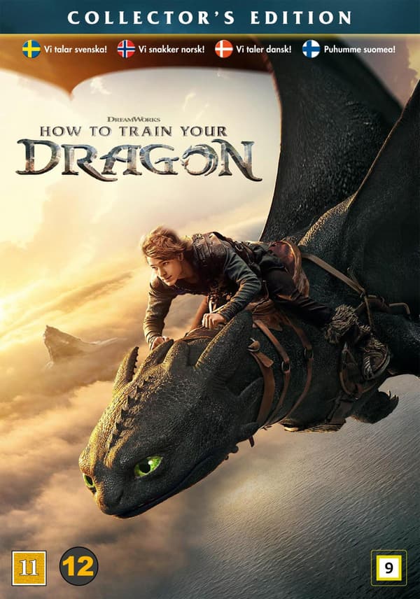 How to Train Your Dragon (2025) (DVD)