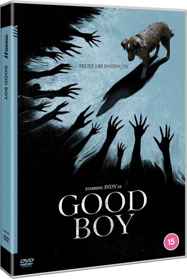Good Boy (2025) (DVD)