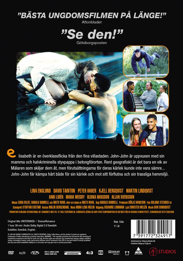 Vinterviken (1996) (DVD)