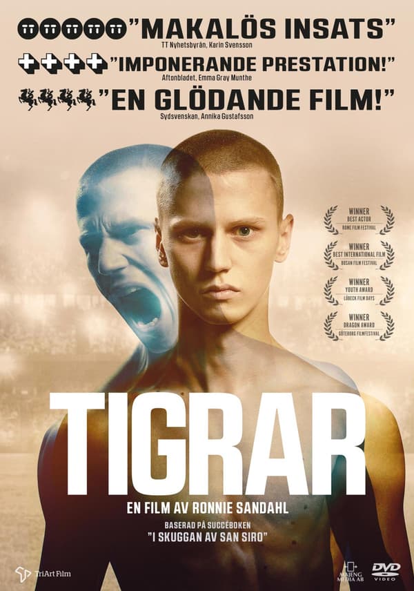 Tigrar (2020) (DVD)